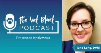 Your spay/neuter complication questions answered