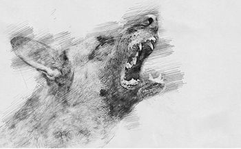 veterinary-dog-angry-german-shepherd-AdobeStock_165541526-450.jpg
