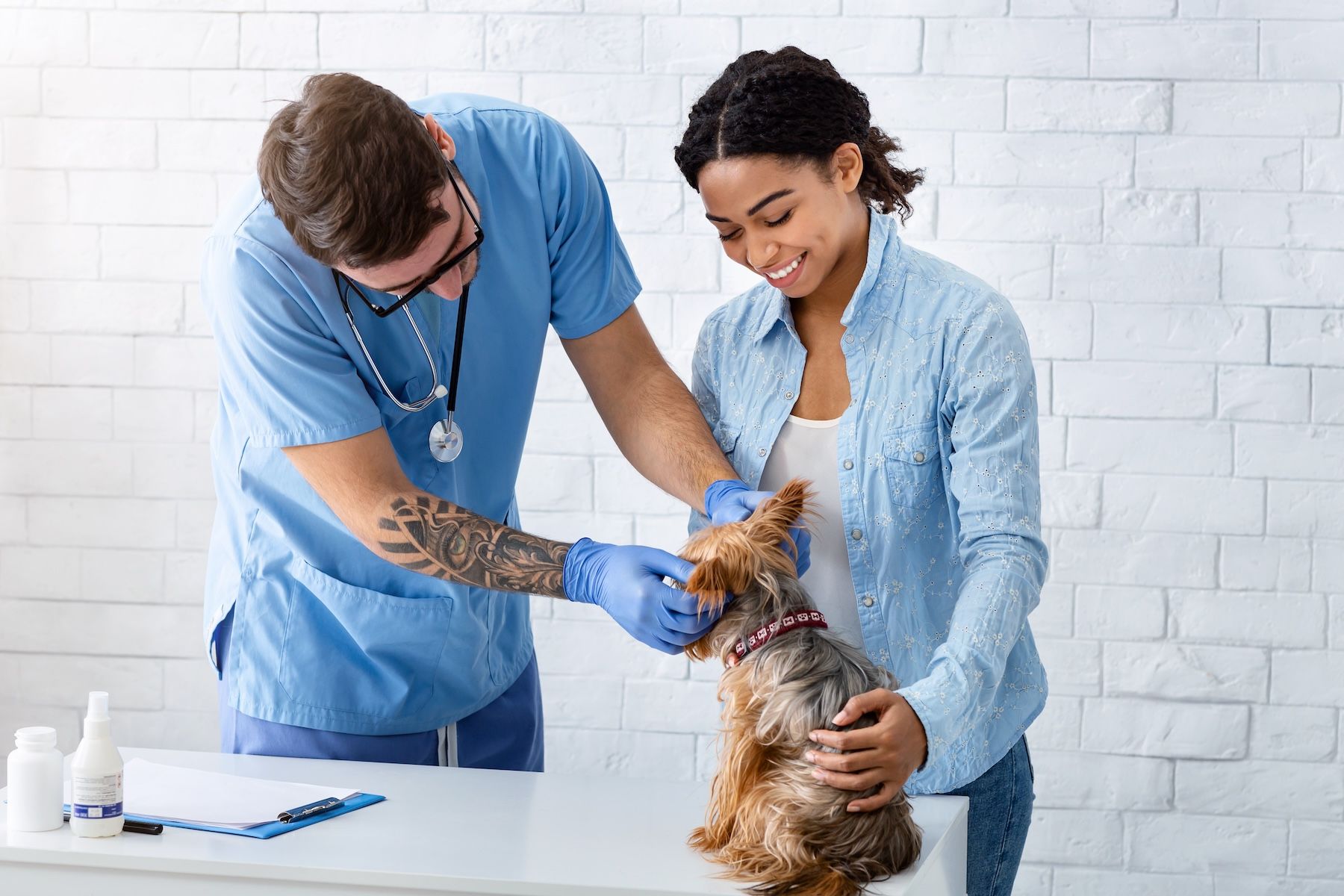 Onboarding a New Vet: Client Communication & First Day Success