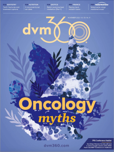 dvm360 November 2022