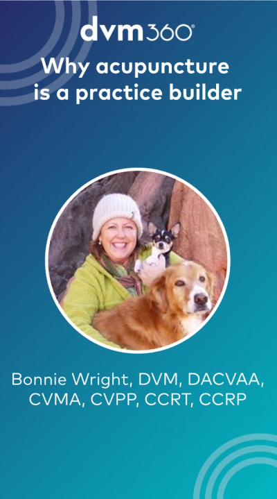 How does acupuncture help build a veterinary practice?