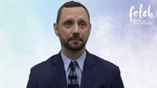 The role of land and underwater treadmills in veterinary rehabilitation