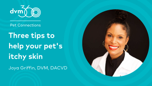 Three tips to help your pet's itchy skin