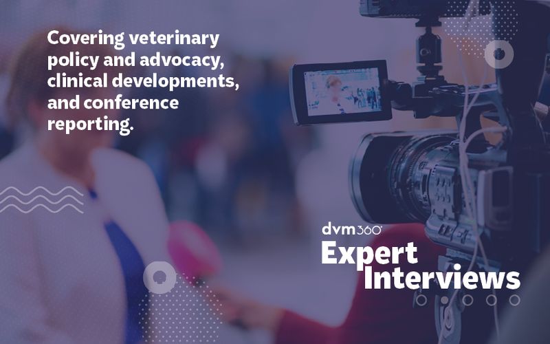 Expert Interviews