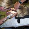 zoo_medicine-708931-1384192731073.jpg
