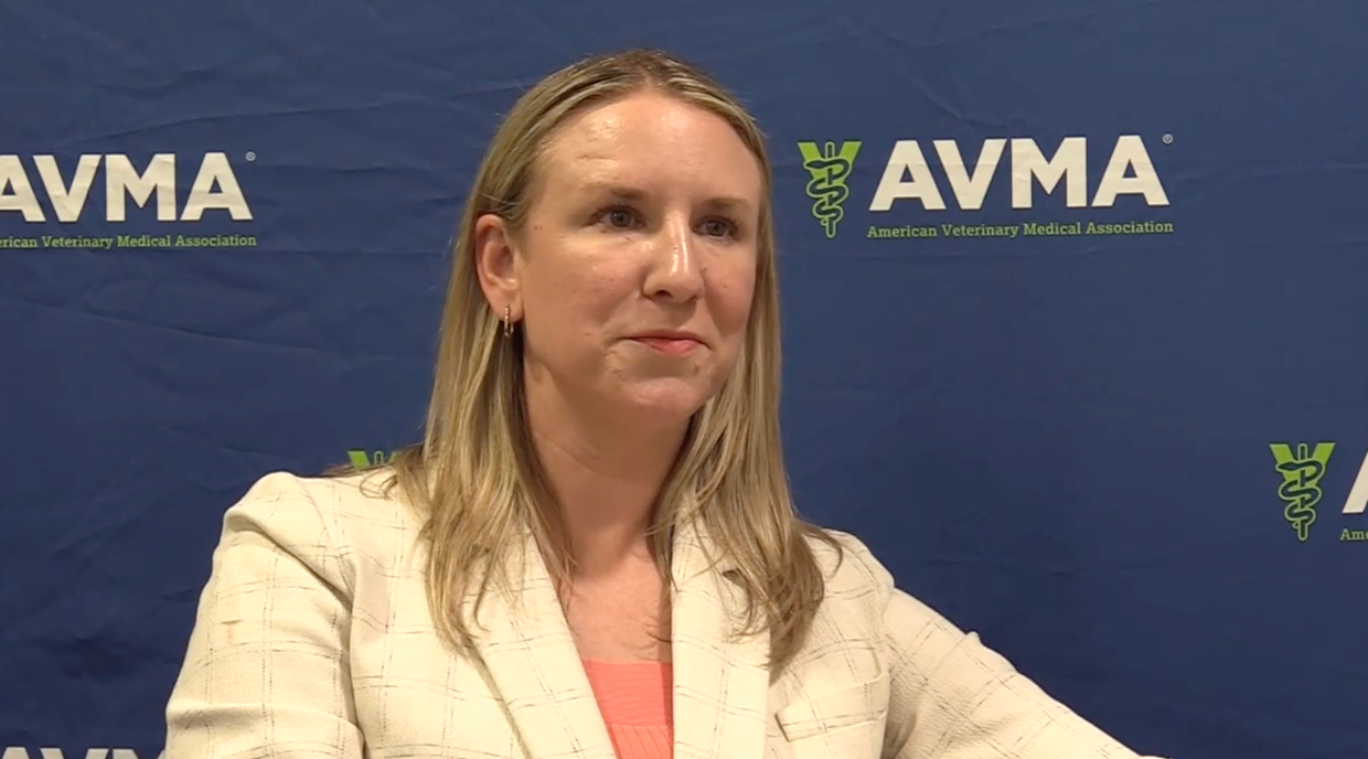 Kristen Coppock - Journalist Profile - Intelligent Relations