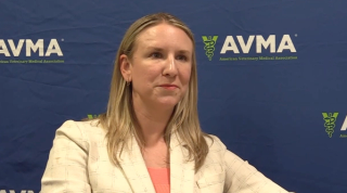 Generating awareness about parvovirus vaccination