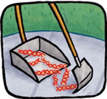 Scooper-dna-lgr-562659-1384607216799.jpg