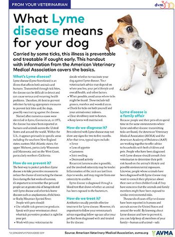 veterinary-clienthandout-lyme-disease-avma-450.jpg