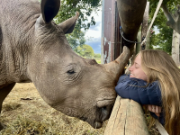 Veterinary scene down under: Rhino Connect's veterinary program, and the latest on H5N1 in Australia 