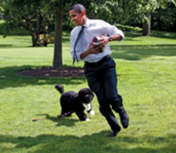 veterinary_whiteHouseDog_0811-732393-1384184212118.jpg
