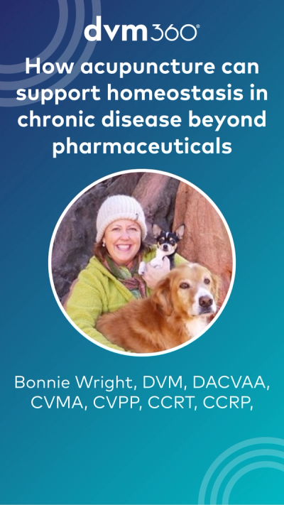 How acupuncture can support homeostasis in chronic disease beyond pharmaceuticals