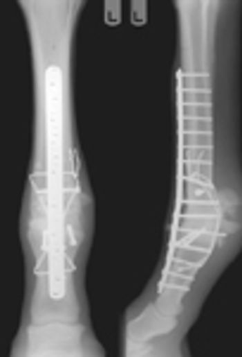 i4-533207-1384674992383.jpg