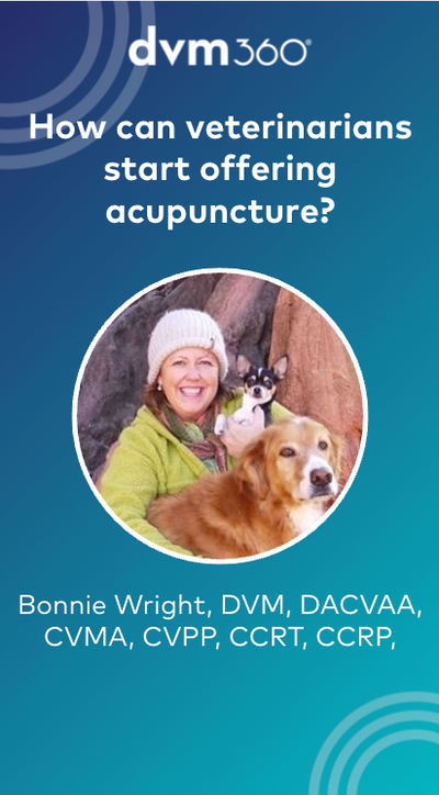 How can veterinarians start offering acupuncture?