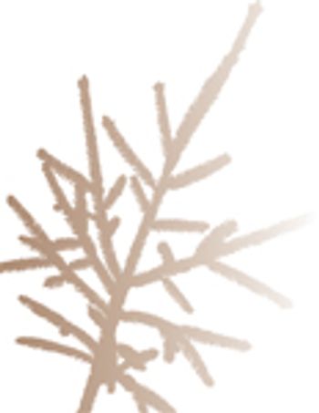 i1-502344-1384678847583.jpg