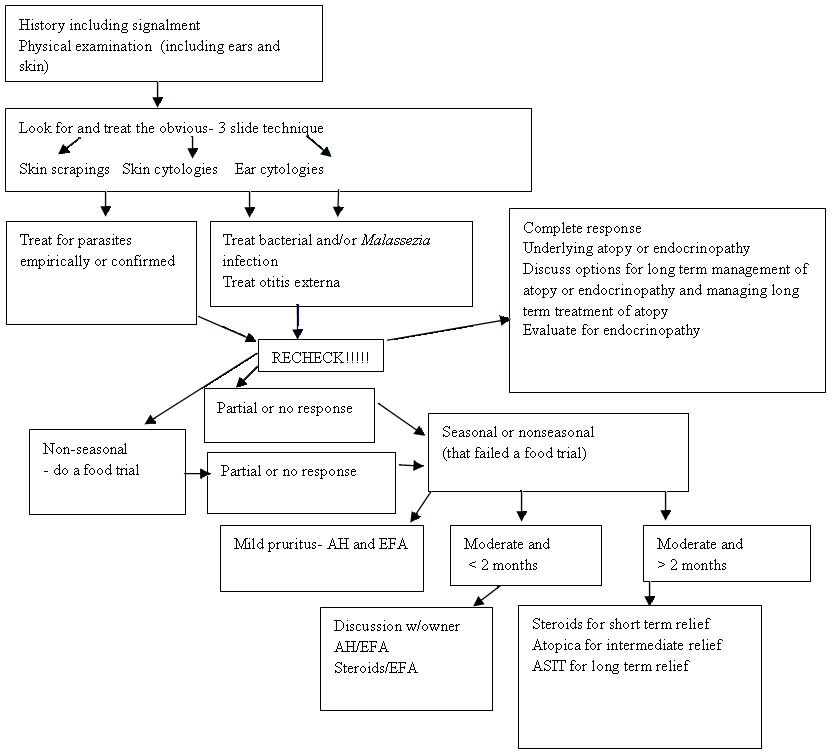 flowchart1-599008-1384506972274.jpg
