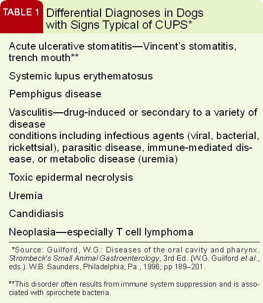 Dental Corner Diagnosing And Treating Chronic Ulcerative Paradental Stomatitis Dental Corner Diagnosing And Treating Chronic Ulcerative Paradental Stomatitis