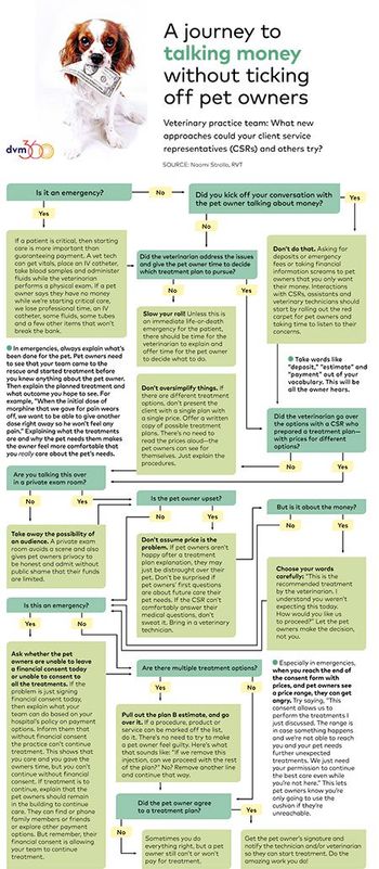 veterinary-strollo-algorithm-helping-clients-pay-450.jpg