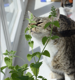 Sarka/stock.adobe.com