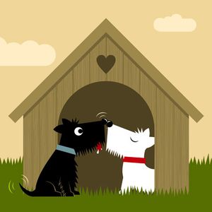 Veterinary_dating_450.jpg