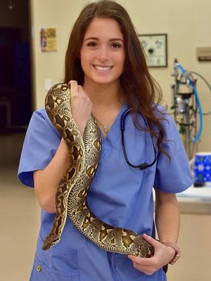veterinary-ellerd-snake-450.jpg