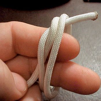 veterinary_crowe2_knot2-615002-1384500655067.jpg