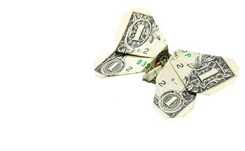 veterinary-one-dollar-origami-butterfly-AdobeStock_36391449-body.jpg