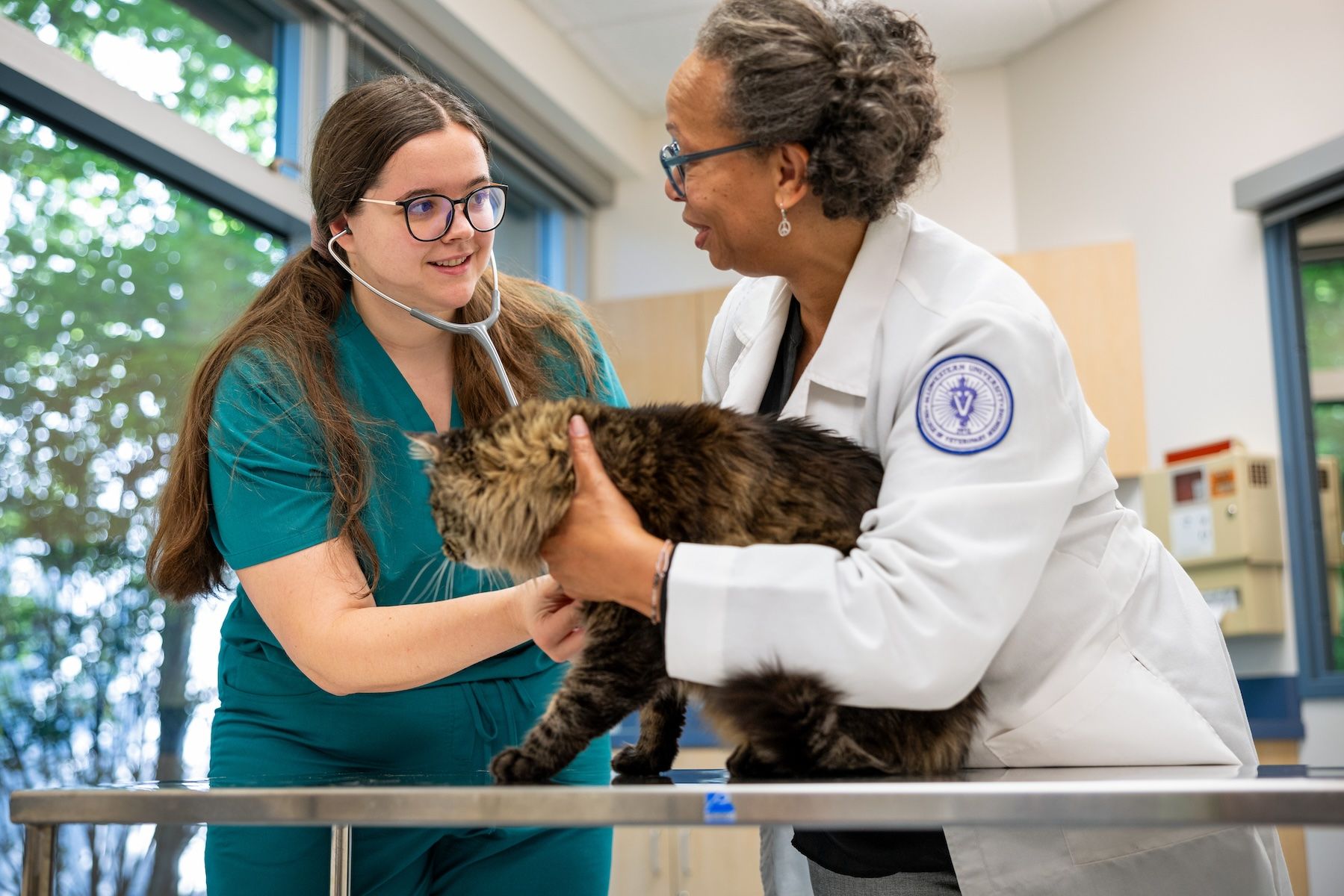 Chicago College of Veterinary Medicine