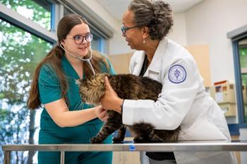 Chicago College of Veterinary Medicine