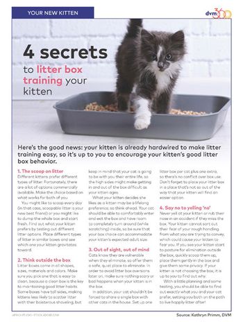 veterinary-0119-handout-primm-kittenlitter_450.jpg