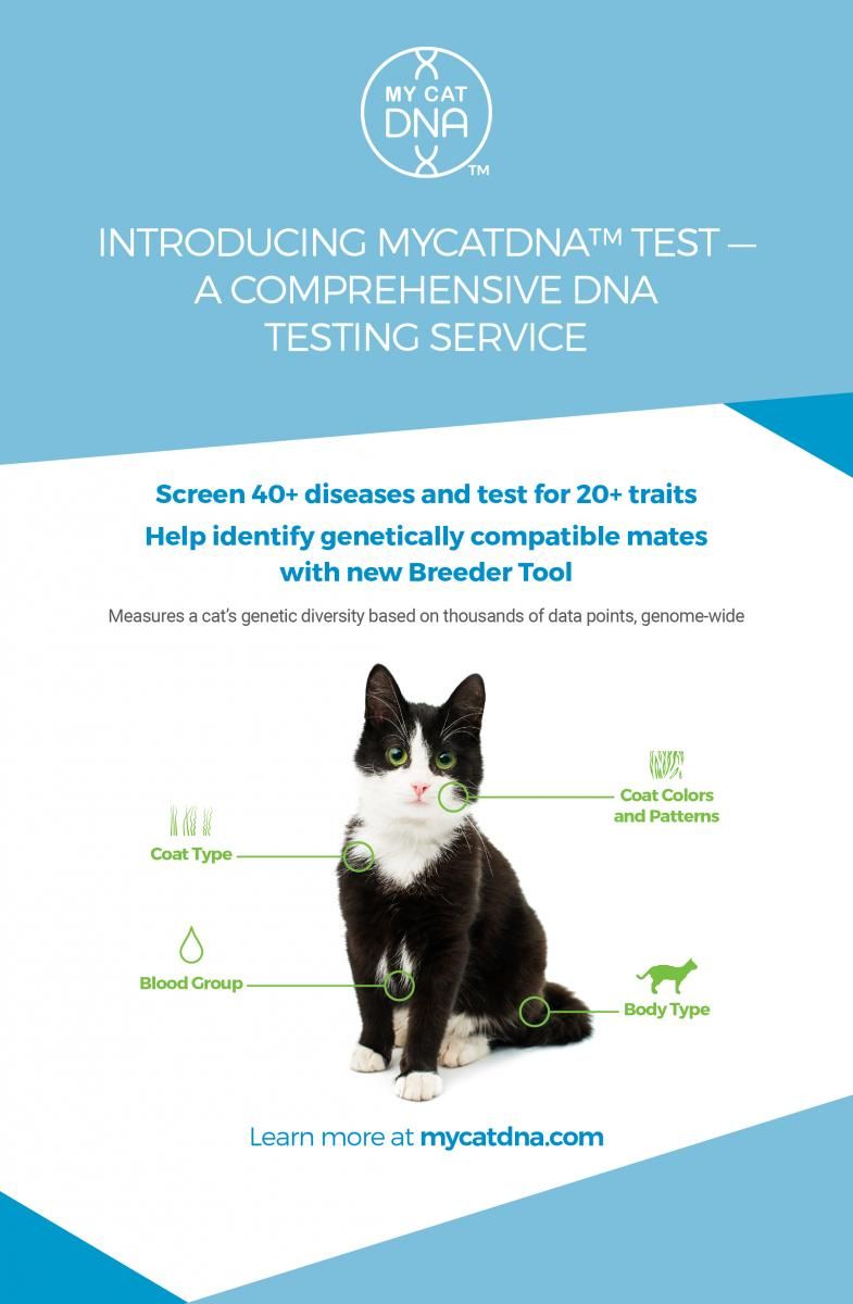 Expansive DNA Testing Now Available for Cats