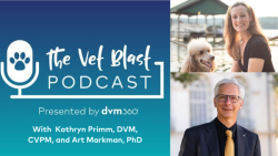 Mental health in veterinary medicine: A marathon, not a sprint