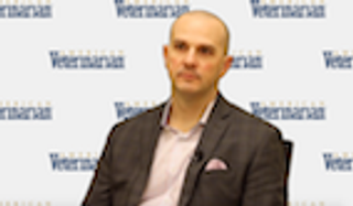 Using Rehabilitation Therapies for Pain Management