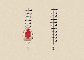 veterinary_swaim_fig5c_450.jpg