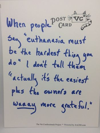 veterinary-painanddeath-confession-1.jpg
