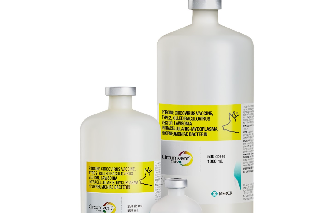 new porcine vaccine