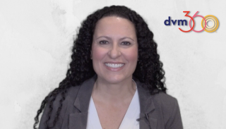 Current prevalence of canine osteoarthritis