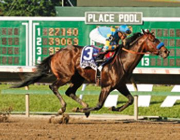 Paynter_HaskellInv_003-797395-1384155346969.jpg