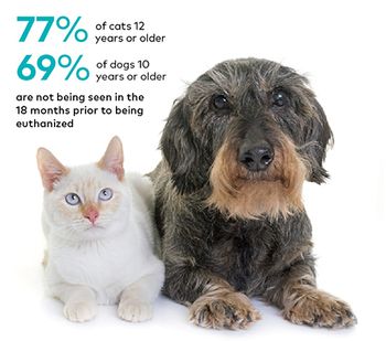 Gardner_senior_dog_cat_chart1_450.jpg