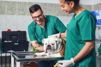 Veterinary Scene Down Under: Australian Veterinary Association membership grows as New South Wales moves to recognize veterinary technicians