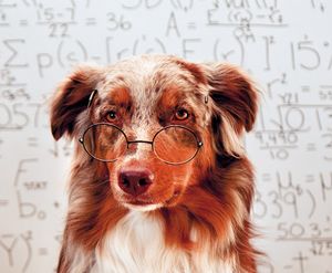 3smarts_450.jpg