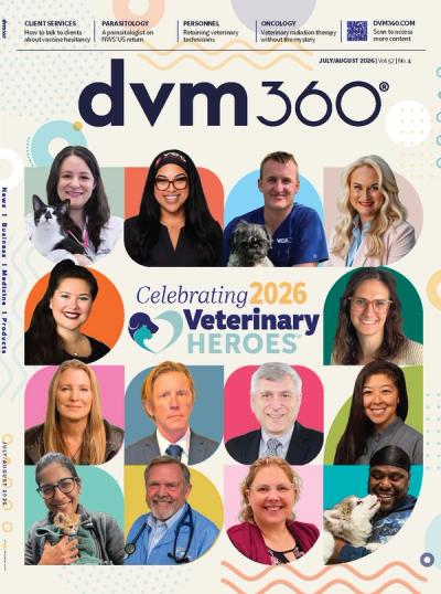 dvm360
