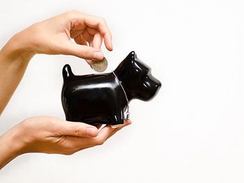 veterinary-hands-dog-bank-savings-AdobeStock-58523053-450px.jpg