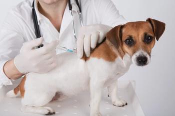 Canine vaccine