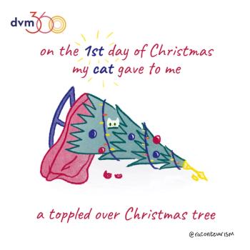 veterinary-12_Days_Of_Christmas_-_1.jpg