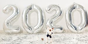 Resolutions that make veterinary practice life more meaningful