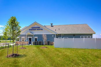 2018_13_QueenstownVeterinaryHospital_Northside-450.jpg