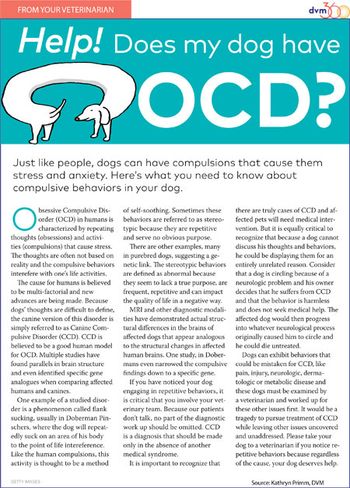 ocd-handout-rev.jpg