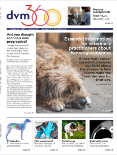 dvm360 September 2021