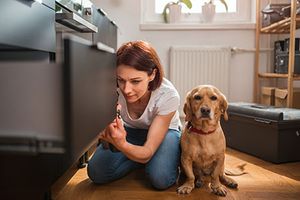 veterinary-woman-dog-kitchen-AdobeStock-214059902-450x300.jpg